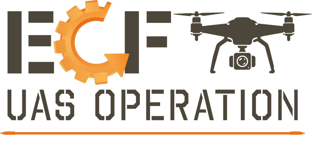 logo vecto texte 01